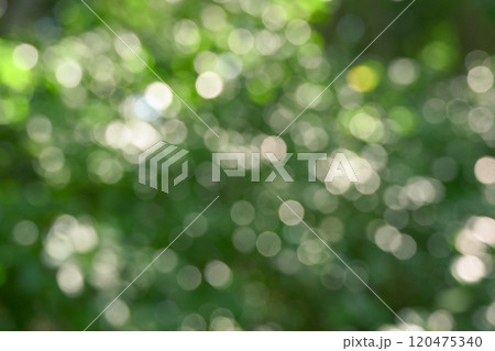 光の雫 光の雫 120475340