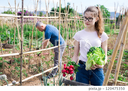 Girl posing in garden with harvested vegetables 120475350