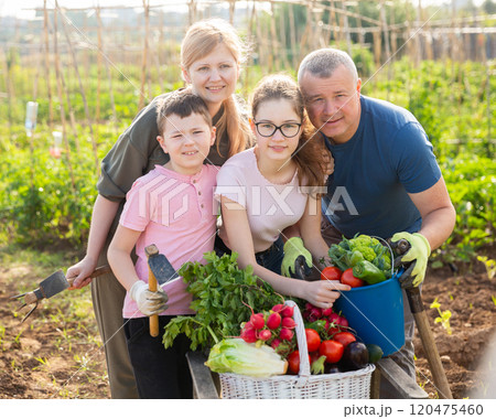 Happy family posing with basket of ripe vegetables on field Happy family posing with basket of ripe vegetables on field 120475460