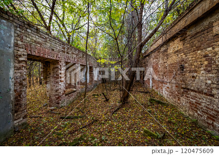 The ruins of a building The ruins of a building 120475609