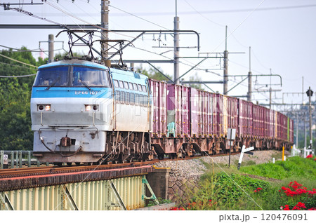 高崎線 岡部-本庄 JR貨物 EF66-107(吹田) 高崎線 岡部-本庄 JR貨物 EF66-107(吹田) 120476091