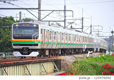 高崎線　岡部－本庄　JR東日本　E231系1000番台　U504編成（小山） 120476092