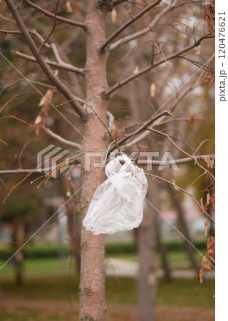 Plastic Bag Caught on Tree Branch in a Public Park, environmental pollution  120476621