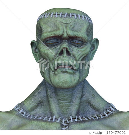 男性モンスターの顔 120477091
