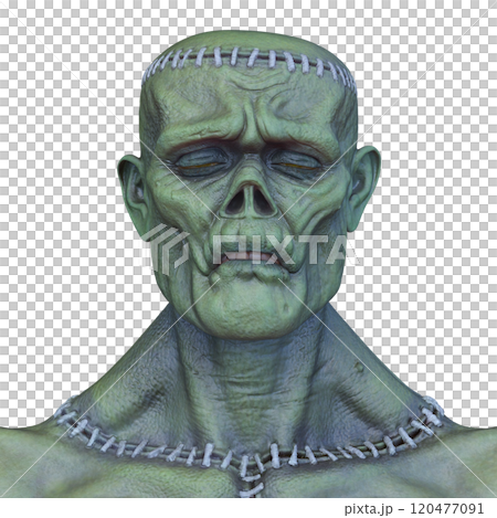 男性モンスターの顔 120477091