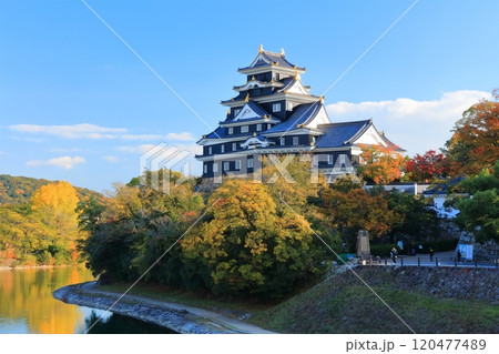 【岡山県】黄葉した岡山城と旭川(令和の大改修後) 【岡山県】黄葉した岡山城と旭川(令和の大改修後) 120477489