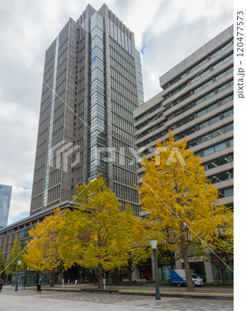 紅葉した街路樹と高層ビル 120477573