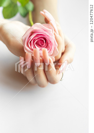 A person with long pink nails gently holding a soft pink rose against a light background 120477612