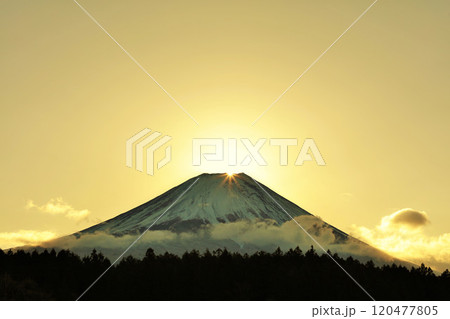 静岡県 朝霧高原からのダイヤモンド富士 静岡県 朝霧高原からのダイヤモンド富士 120477805