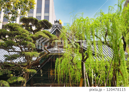 京都 紫雲山頂法寺 六角堂（京都市中京区） 120478115