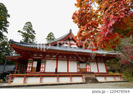 河内長野市にある観心寺の本堂と紅葉【11月】 120478564
