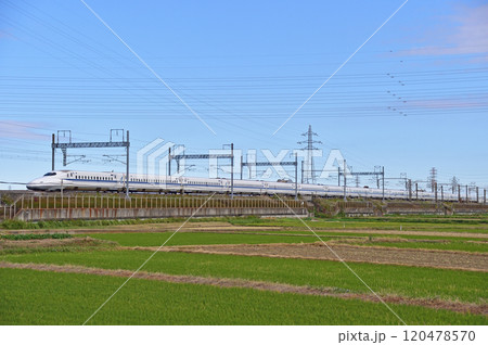東海道新幹線 新横浜-小田原 JR東海 N700A系 G編成(東京) Large A 東海道新幹線 新横浜-小田原 JR東海 N700A系 G編成(東京) Large A 120478570