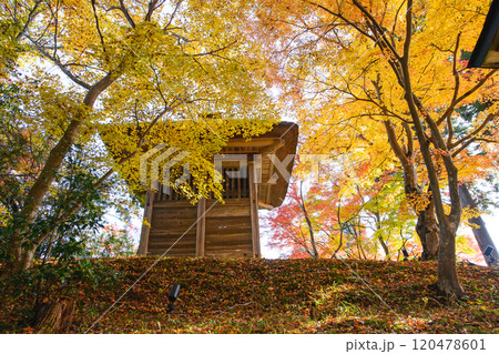 世界遺産中尊寺　秋色に染まる鐘楼　岩手県 120478601