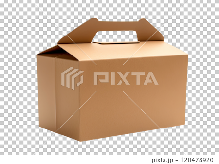 Cardboard Foodbox 120478920