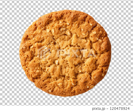 Oatmeal Cookie 120478924