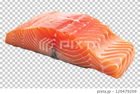 Piece of Salmon 120479209