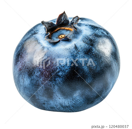 Blueberry 120480037