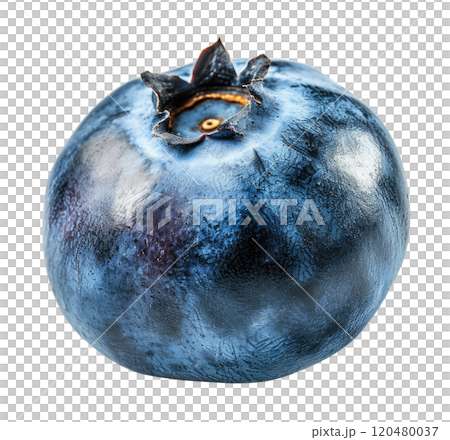 Blueberry 120480037