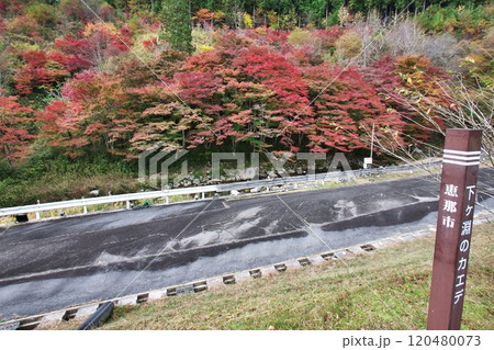 下ヶ渕のカエデ並木 紅葉 9 120480073