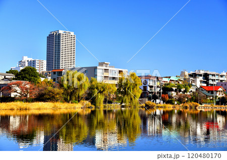 石神井公園(東京都練馬区)【2024.11】 120480170