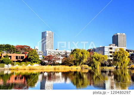 石神井公園(東京都練馬区)【2024.11】 石神井公園(東京都練馬区)【2024.11】 120480297