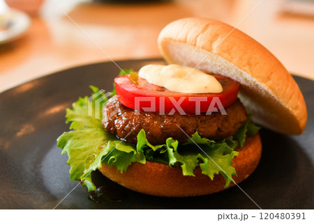 おいしいハンバーガー 120480391