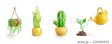 House plant in hanging and flower pot 3d render icon set. Cactus, sansevieria, climbing plant with green leaf, yellow watering can pours water on sprout grow in soil, home garden care. 3D illustration 120480393