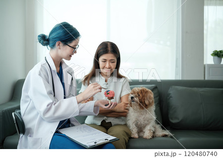 A woman and a dog are sitting on a couch while a doctor looks at the dog A woman and a dog are sitting on a couch while a doctor looks at the dog 120480740
