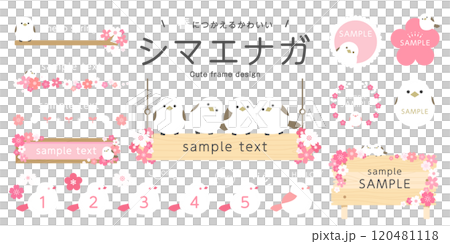 Long-tailed tit spring design set (vector frame cherry blossom decoration cute little bird) 120481118