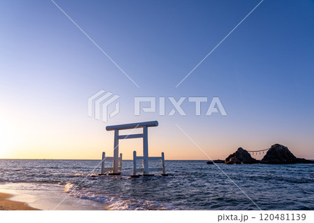 福岡県糸島市　夕方の桜井二見ヶ浦の夫婦岩と白い鳥居 120481139