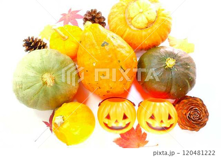 ハロウィン　ハロウィーン　Halloween　かぼちゃ　パンプキン　ジャック・オー・ランタン 120481222