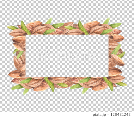 Almond nuts closeup with leaves. Rectangular frame, banner, template. Pile of peeled kernel. Watercolor hand drawn illustration. Vegan stone fruit, food, snack product label on isolated background 120481242