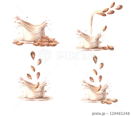 Almond milk drink and milk splashes set. Watercolor Almond nut pureed on a background of yogurt, cream. Plant based, soy based vegan design. Vegetarian product label. Hand drawn food clipart Isolated Almond milk drink and milk splashes set. Watercolor Almond nut pureed on a background of yogurt, cream. Plant based, soy based vegan design. Vegetarian product label. Hand drawn food clipart Isolated 120481248
