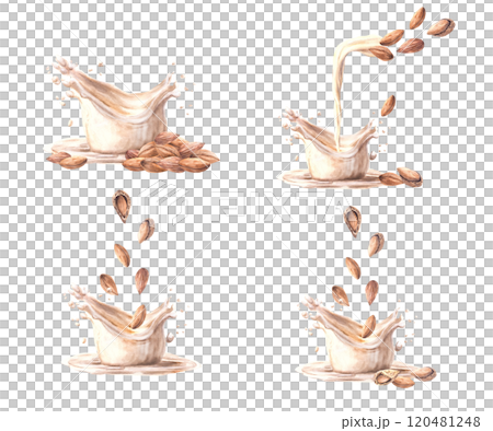 Almond milk drink and milk splashes set. Watercolor Almond nut pureed on a background of yogurt, cream. Plant based, soy based vegan design. Vegetarian product label. Hand drawn food clipart Isolated Almond milk drink and milk splashes set. Watercolor Almond nut pureed on a background of yogurt, cream. Plant based, soy based vegan design. Vegetarian product label. Hand drawn food clipart Isolated 120481248