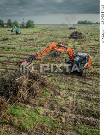 FRANCE, GIRONDE, NAUJAN-ET-POSTIAC, BORDEAUX VINEYARD UPROOTING CAMPAIGN WITH BACKHOE LOADER FRANCE, GIRONDE, NAUJAN-ET-POSTIAC, BORDEAUX VINEYARD UPROOTING CAMPAIGN WITH BACKHOE LOADER 120481418