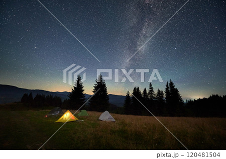 Several tents on grassy clearing under breathtaking, star-filled sky with Milky Way prominently visible. Pine trees and distant mountains frame scene, creating awe-inspiring camping experience. 120481504
