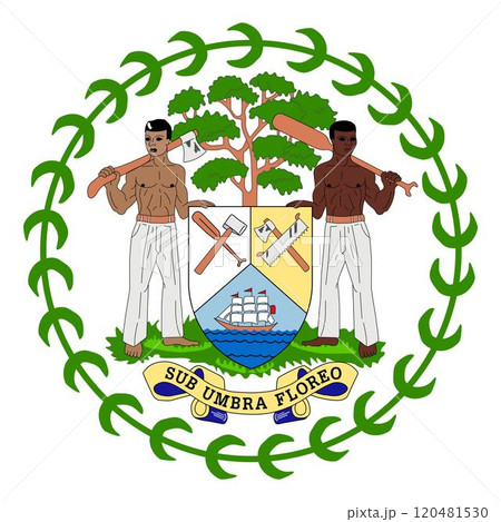Belize element flag national material design Belize element flag national material design 120481530