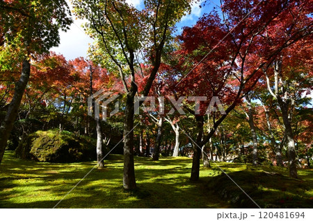 箱根美術館 120481694