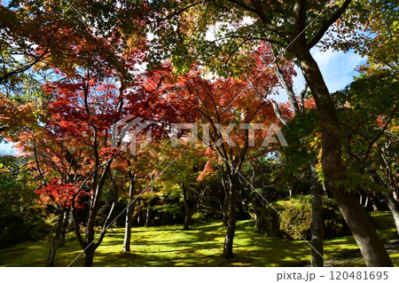 箱根美術館 120481695