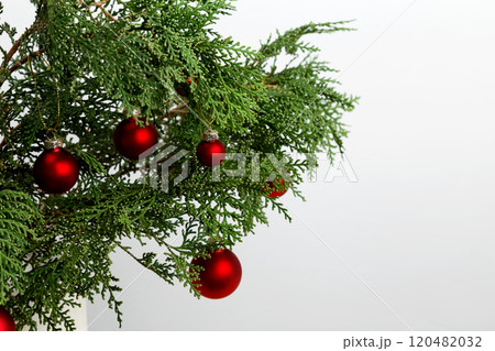 Thuja branches and hanging Christmas ornaments creating a festive display Thuja branches and hanging Christmas ornaments creating a festive display 120482032