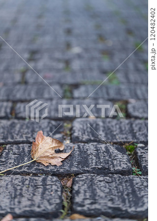 石畳に落ちた枯れ葉・冬 イメージ 120482402