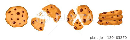 A set of homemade country cookies with chocolate 120483270