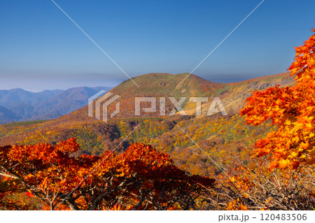 宮城県岩手県秋田県の三県にまたがる栗駒山 中央コースから望む斜面一面の鮮やかな紅葉と青空の景色 宮城県岩手県秋田県の三県にまたがる栗駒山 中央コースから望む斜面一面の鮮やかな紅葉と青空の景色 120483506