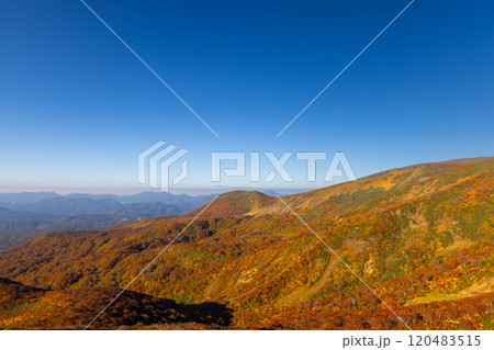 宮城県岩手県秋田県の三県にまたがる栗駒山　中央コースから望む斜面一面の鮮やかな紅葉と青空の景色 120483515