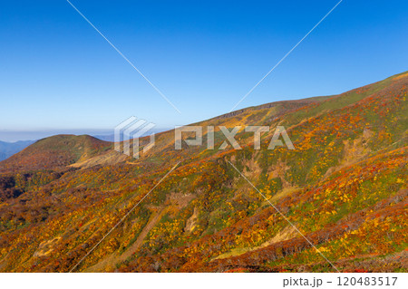 宮城県岩手県秋田県の三県にまたがる栗駒山 中央コースから望む斜面一面の鮮やかな紅葉と青空の景色 宮城県岩手県秋田県の三県にまたがる栗駒山 中央コースから望む斜面一面の鮮やかな紅葉と青空の景色 120483517