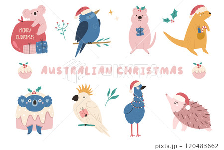 Set of hand drawn Australian animals koala, quokka, kookaburra, cockatoo, emu, echidna, kangaroo Set of hand drawn Australian animals koala, quokka, kookaburra, cockatoo, emu, echidna, kangaroo 120483662