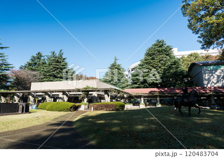 世田谷美術館周辺を散策　砧公園　秋晴れの青空　東京都世田谷区砧公園 120483704