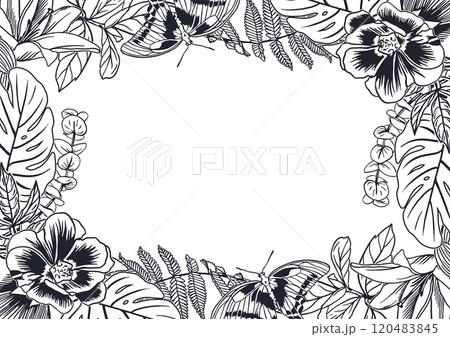 Floral frame, ink. Tropical leaves of monstera palm, fern, anemones, butterflies. Vector illustration in graphic style. For cards, invitations, labels Floral frame, ink. Tropical leaves of monstera palm, fern, anemones, butterflies. Vector illustration in graphic style. For cards, invitations, labels 120483845