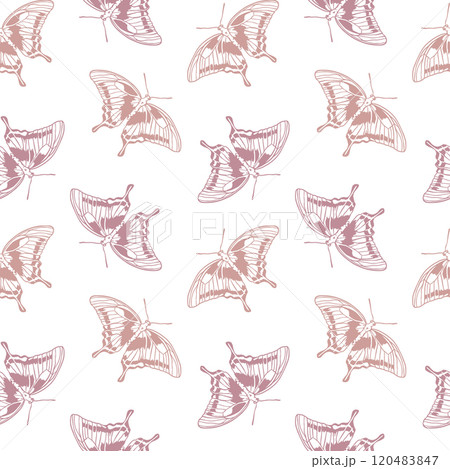 Butterflies delicate seamless pattern. Hand drawn vector illustration in graphic style. For cards, invitations, packaging, textile, fabric, covers. 120483847