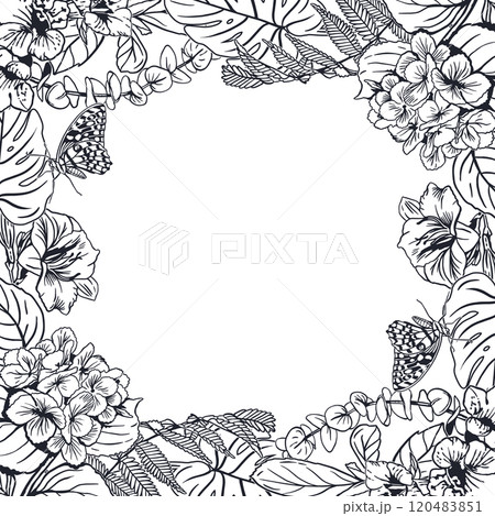 Floral frame square. Tropical leaves of palm tree monstera, fern, hydrangea, butterflies. Vector illustration. Graphics. Cards, invitations, labels. Floral frame square. Tropical leaves of palm tree monstera, fern, hydrangea, butterflies. Vector illustration. Graphics. Cards, invitations, labels. 120483851
